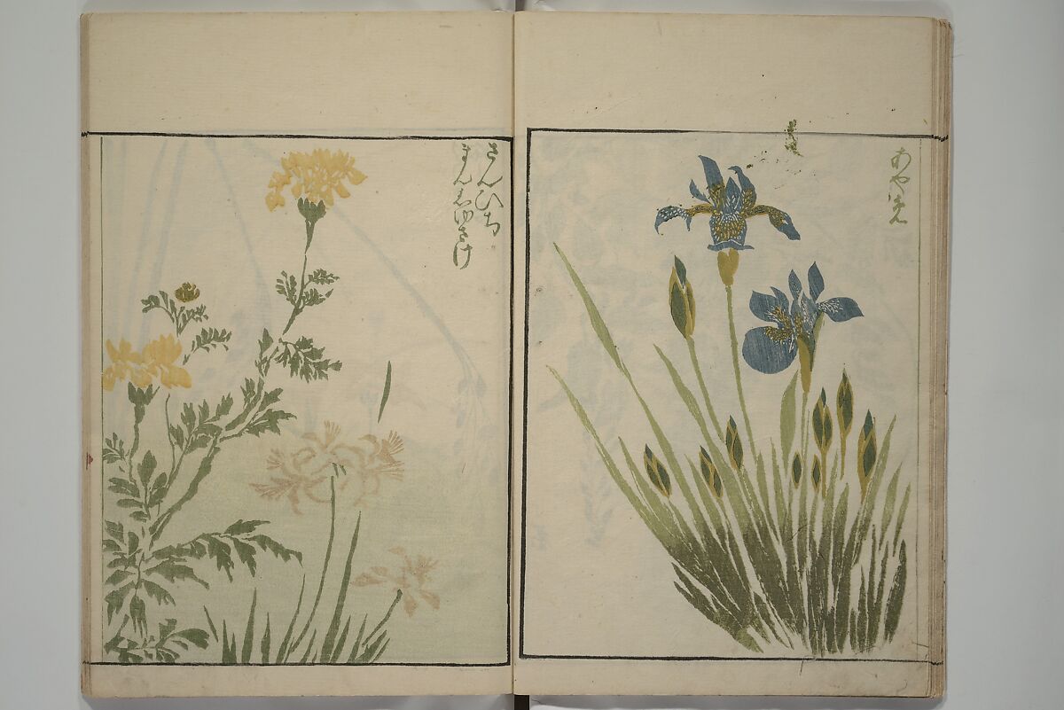 How to Draw Plants and Flowers Simply (Sōka ryakugashiki) 草花略画式, Kuwagata Keisai 鍬形蕙斎 (Japanese, 1764–1824), Woodblock printed book; ink and color on paper, Japan