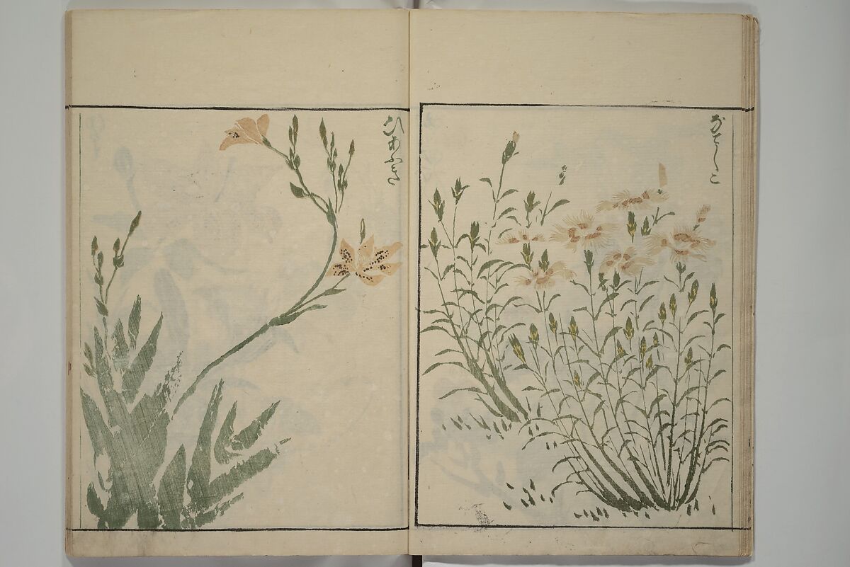 How to Draw Plants and Flowers Simply (Sōka ryakugashiki) 草花略画式, Kuwagata Keisai 鍬形蕙斎 (Japanese, 1764–1824), Woodblock printed book; ink and color on paper, Japan