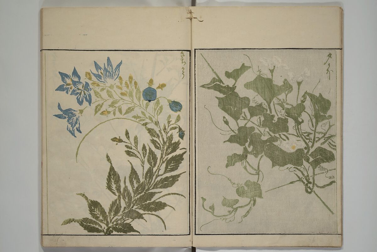 How to Draw Plants and Flowers Simply (Sōka ryakugashiki) 草花略画式, Kuwagata Keisai 鍬形蕙斎 (Japanese, 1764–1824), Woodblock printed book; ink and color on paper, Japan