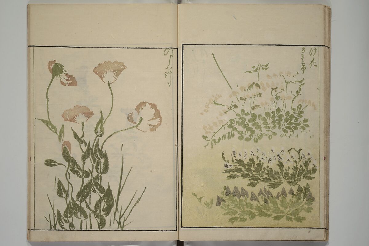 How to Draw Plants and Flowers Simply (Sōka ryakugashiki) 草花略画式, Kuwagata Keisai 鍬形蕙斎 (Japanese, 1764–1824), Woodblock printed book; ink and color on paper, Japan
