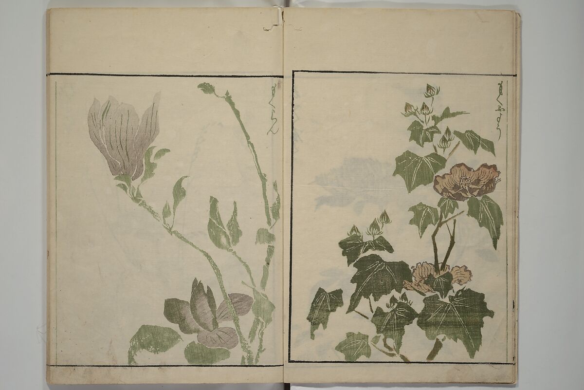 How to Draw Plants and Flowers Simply (Sōka ryakugashiki) 草花略画式, Kuwagata Keisai 鍬形蕙斎 (Japanese, 1764–1824), Woodblock printed book; ink and color on paper, Japan