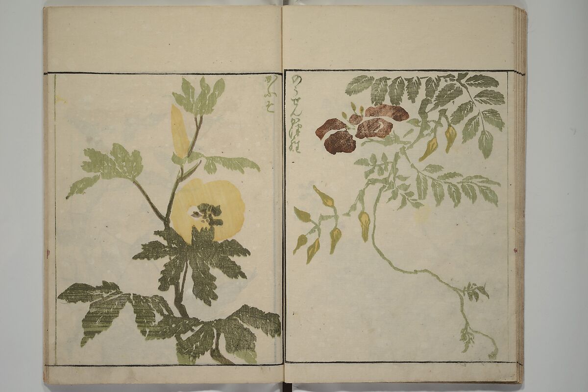 How to Draw Plants and Flowers Simply (Sōka ryakugashiki) 草花略画式, Kuwagata Keisai 鍬形蕙斎 (Japanese, 1764–1824), Woodblock printed book; ink and color on paper, Japan