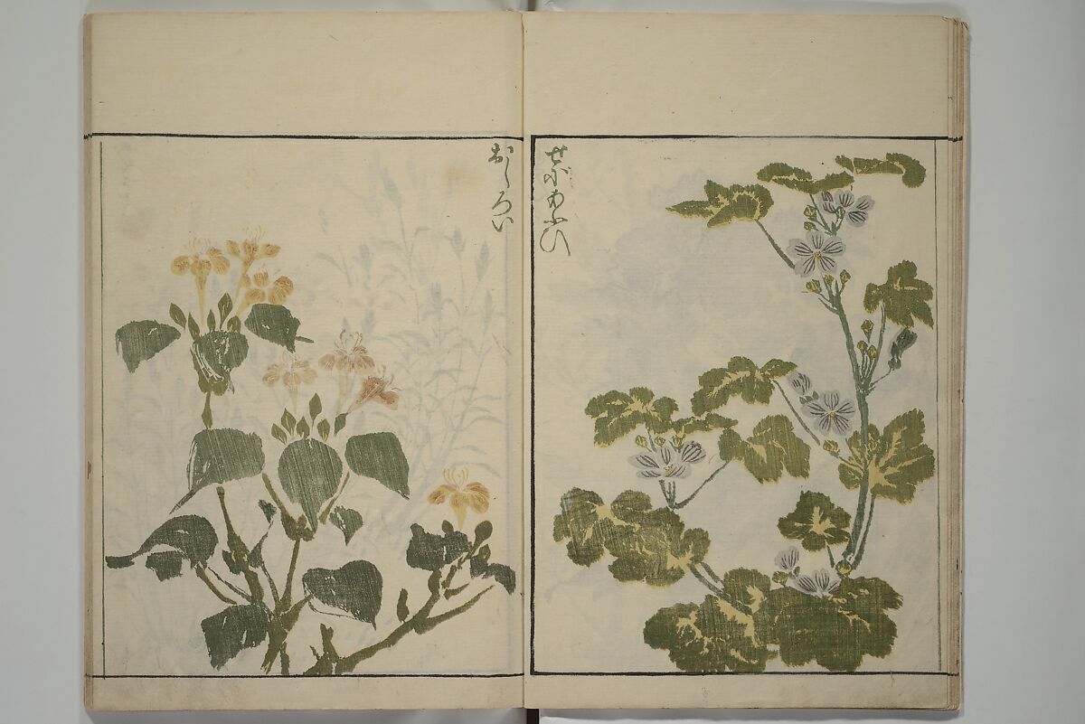 How to Draw Plants and Flowers Simply (Sōka ryakugashiki) 草花略画式, Kuwagata Keisai 鍬形蕙斎 (Japanese, 1764–1824), Woodblock printed book; ink and color on paper, Japan