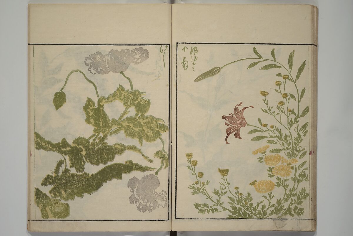 How to Draw Plants and Flowers Simply (Sōka ryakugashiki) 草花略画式, Kuwagata Keisai 鍬形蕙斎 (Japanese, 1764–1824), Woodblock printed book; ink and color on paper, Japan