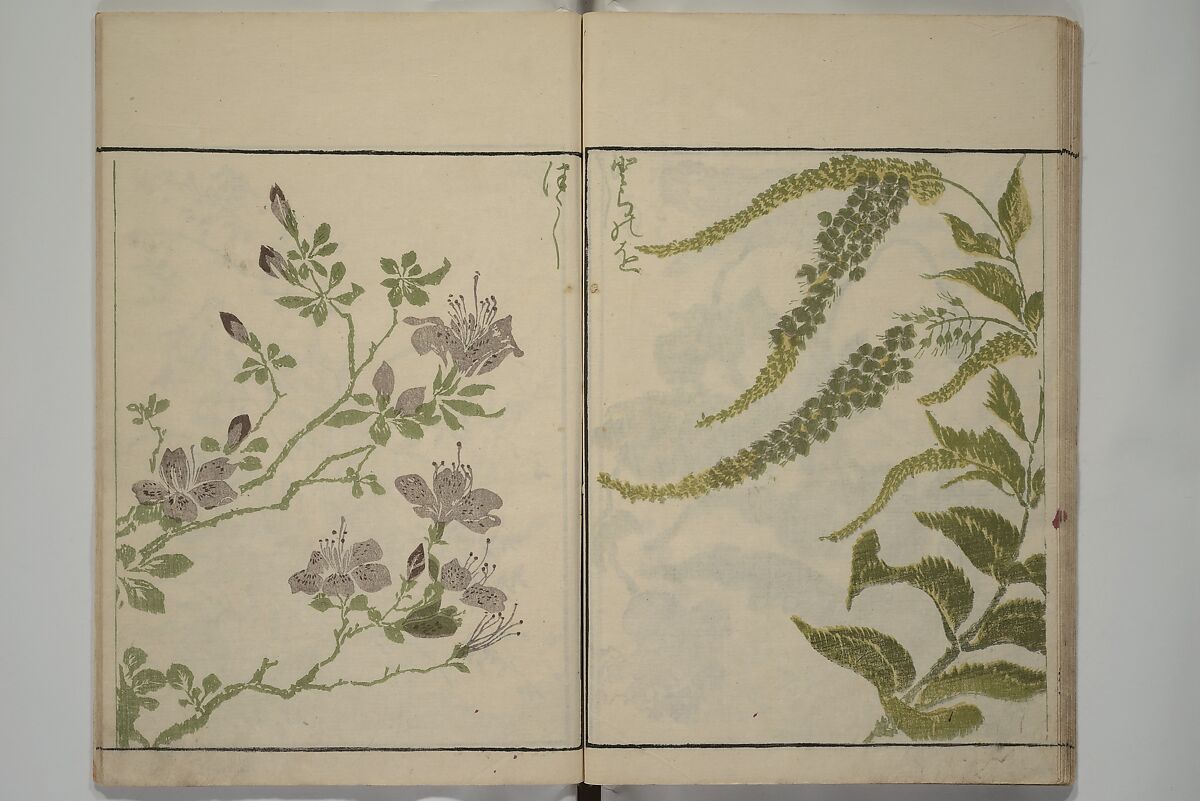 How to Draw Plants and Flowers Simply (Sōka ryakugashiki) 草花略画式, Kuwagata Keisai 鍬形蕙斎 (Japanese, 1764–1824), Woodblock printed book; ink and color on paper, Japan
