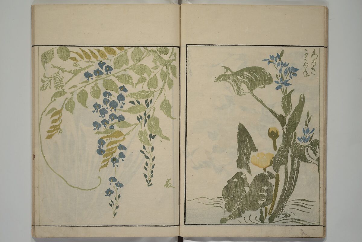 How to Draw Plants and Flowers Simply (Sōka ryakugashiki) 草花略画式, Kuwagata Keisai 鍬形蕙斎 (Japanese, 1764–1824), Woodblock printed book; ink and color on paper, Japan