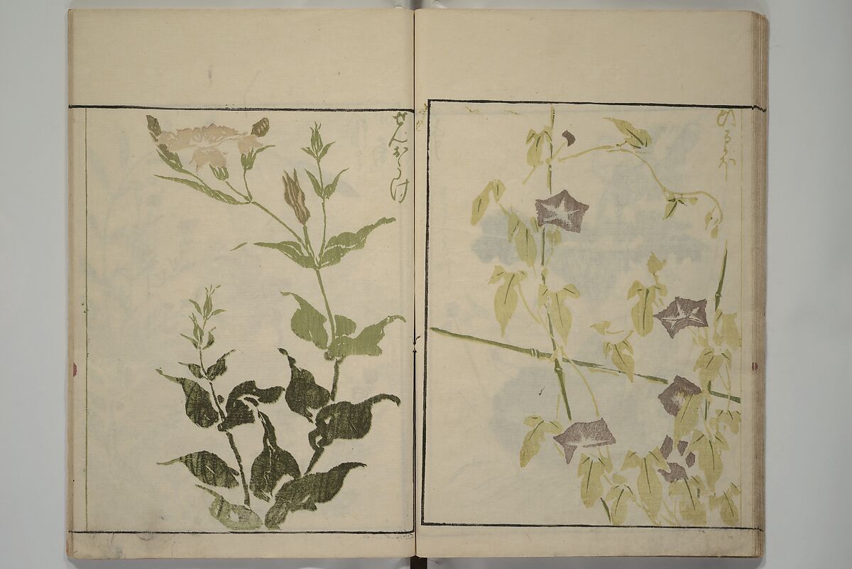 How to Draw Plants and Flowers Simply (Sōka ryakugashiki) 草花略画式, Kuwagata Keisai 鍬形蕙斎 (Japanese, 1764–1824), Woodblock printed book; ink and color on paper, Japan