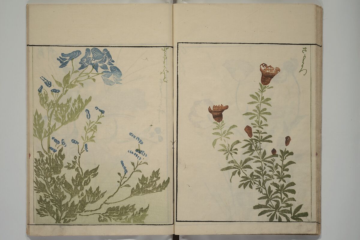 How to Draw Plants and Flowers Simply (Sōka ryakugashiki) 草花略画式, Kuwagata Keisai 鍬形蕙斎 (Japanese, 1764–1824), Woodblock printed book; ink and color on paper, Japan