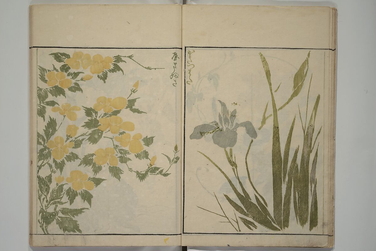 How to Draw Plants and Flowers Simply (Sōka ryakugashiki) 草花略画式, Kuwagata Keisai 鍬形蕙斎 (Japanese, 1764–1824), Woodblock printed book; ink and color on paper, Japan