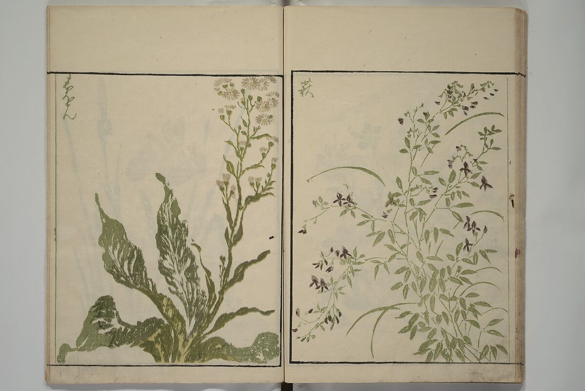 How to Draw Plants and Flowers Simply (Sōka ryakugashiki) 草花略画式, Kuwagata Keisai 鍬形蕙斎 (Japanese, 1764–1824), Woodblock printed book; ink and color on paper, Japan