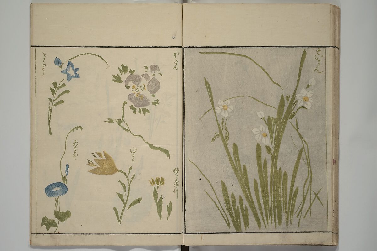 How to Draw Plants and Flowers Simply (Sōka ryakugashiki) 草花略画式, Kuwagata Keisai 鍬形蕙斎 (Japanese, 1764–1824), Woodblock printed book; ink and color on paper, Japan