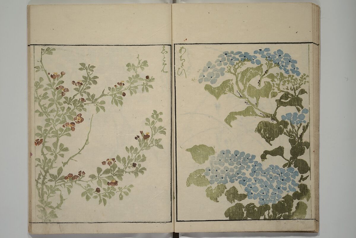 How to Draw Plants and Flowers Simply (Sōka ryakugashiki) 草花略画式, Kuwagata Keisai 鍬形蕙斎 (Japanese, 1764–1824), Woodblock printed book; ink and color on paper, Japan