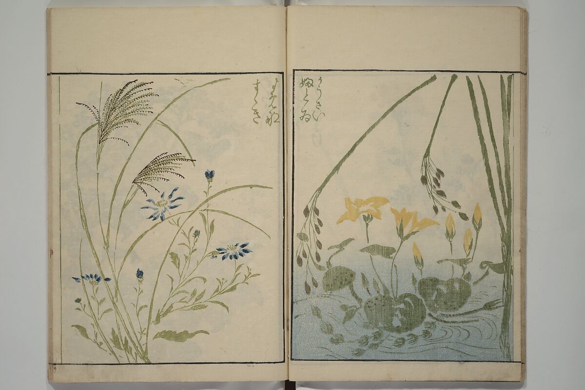 How to Draw Plants and Flowers Simply (Sōka ryakugashiki) 草花略画式, Kuwagata Keisai 鍬形蕙斎 (Japanese, 1764–1824), Woodblock printed book; ink and color on paper, Japan