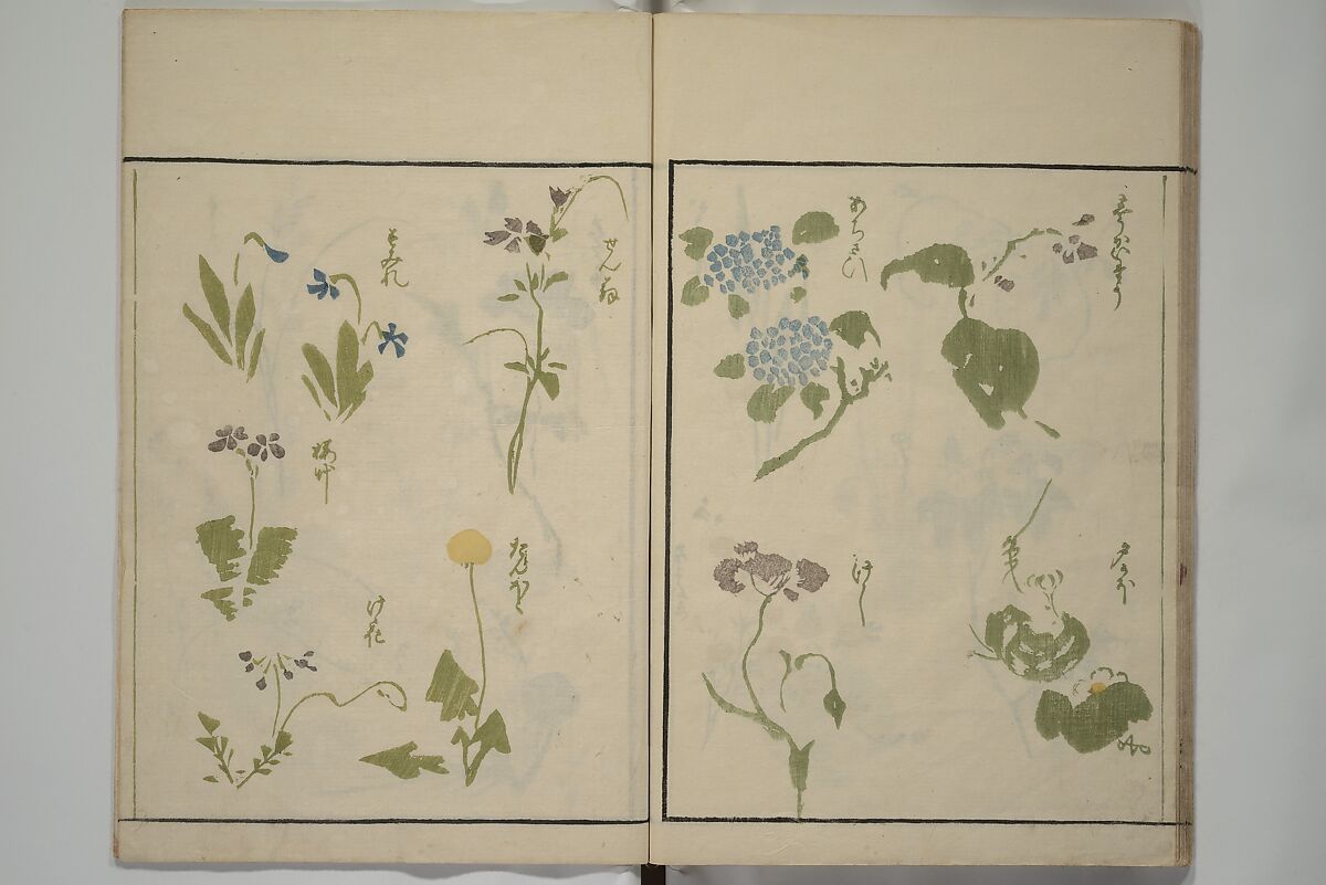 How to Draw Plants and Flowers Simply (Sōka ryakugashiki) 草花略画式, Kuwagata Keisai 鍬形蕙斎 (Japanese, 1764–1824), Woodblock printed book; ink and color on paper, Japan