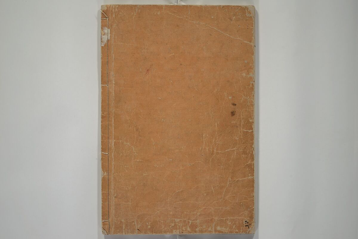 How to Draw Plants and Flowers Simply (Sōka ryakugashiki) 草花略画式, Kuwagata Keisai 鍬形蕙斎 (Japanese, 1764–1824), Woodblock printed book; ink and color on paper, Japan