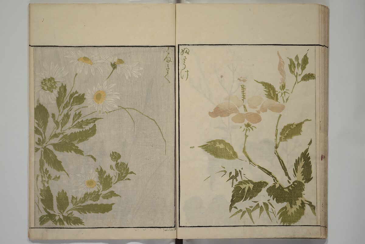 How to Draw Plants and Flowers Simply (Sōka ryakugashiki) 草花略画式, Kuwagata Keisai 鍬形蕙斎 (Japanese, 1764–1824), Woodblock printed book; ink and color on paper, Japan