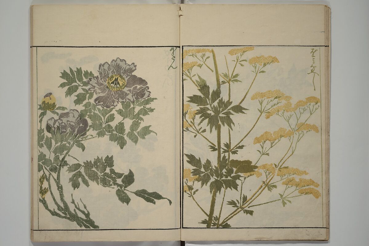 How to Draw Plants and Flowers Simply (Sōka ryakugashiki) 草花略画式, Kuwagata Keisai 鍬形蕙斎 (Japanese, 1764–1824), Woodblock printed book; ink and color on paper, Japan