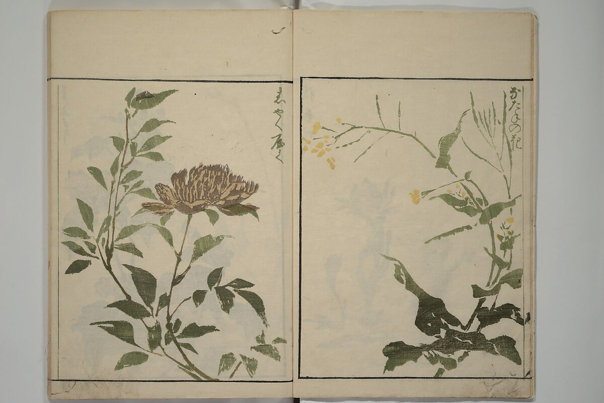 How to Draw Plants and Flowers Simply (Sōka ryakugashiki) 草花略画式, Kuwagata Keisai 鍬形蕙斎 (Japanese, 1764–1824), Woodblock printed book; ink and color on paper, Japan 