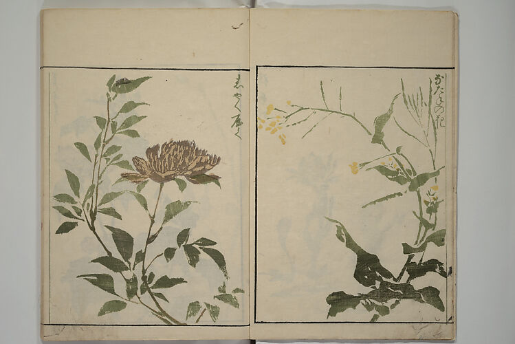 How to Draw Plants and Flowers Simply (Sōka ryakugashiki) 草花略画式