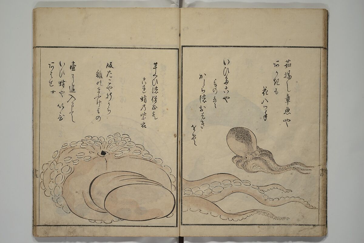The Servants of the Dragon King of the Sea: Fish and Shells (Tatsu no miyatsuko gyokai fu) 龍の宮津子魚貝譜, Kuwagata Keisai 鍬形蕙斎 (Japanese, 1764–1824), Woodblock printed book; ink, color and mica on paper, Japan