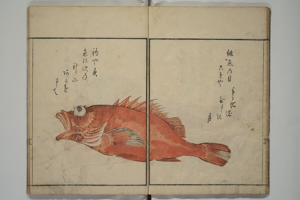 The Servants of the Dragon King of the Sea: Fish and Shells (Tatsu no miyatsuko gyokai fu) 龍の宮津子魚貝譜, Kuwagata Keisai 鍬形蕙斎 (Japanese, 1764–1824), Woodblock printed book; ink, color and mica on paper, Japan