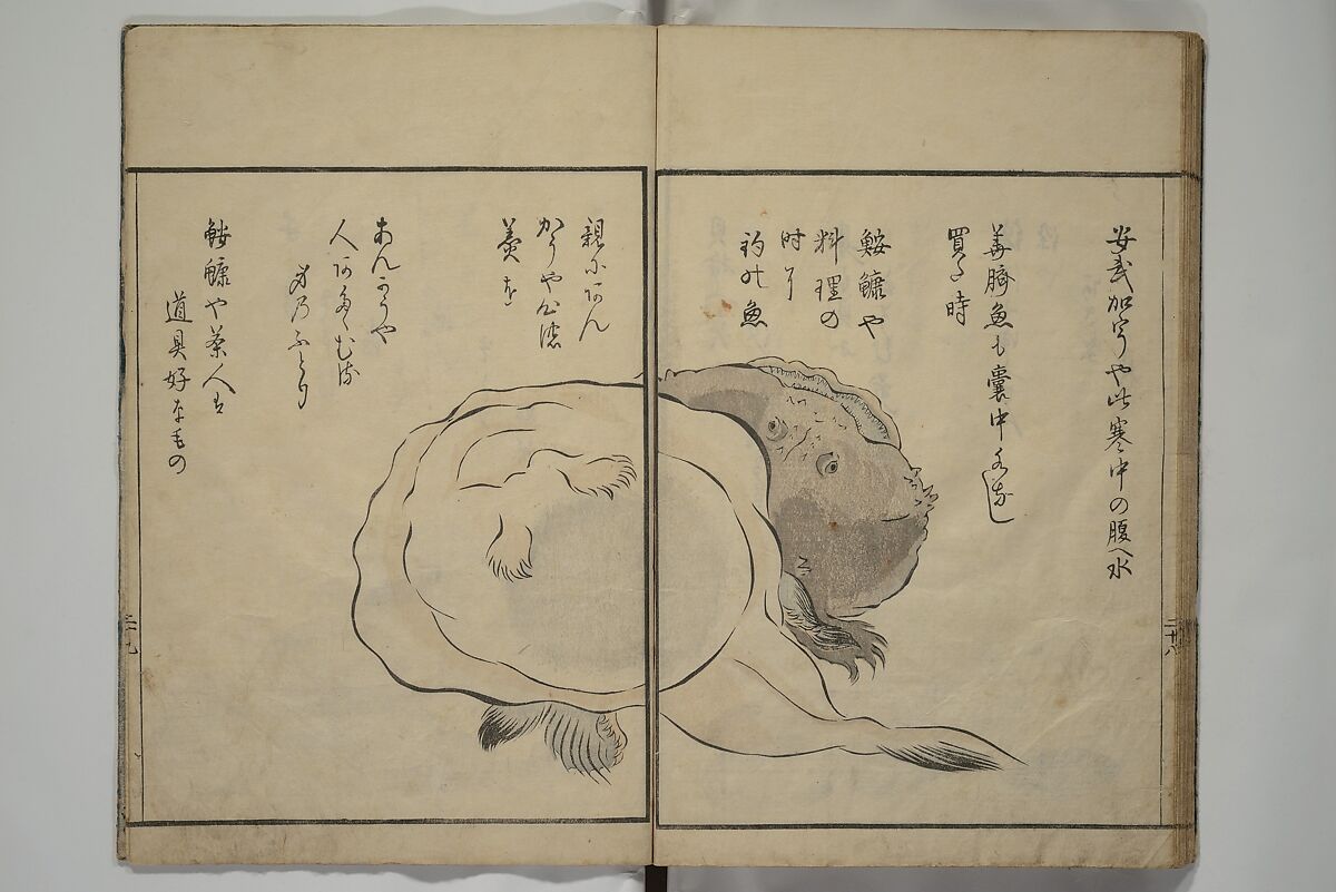 The Servants of the Dragon King of the Sea: Fish and Shells (Tatsu no miyatsuko gyokai fu) 龍の宮津子魚貝譜, Kuwagata Keisai 鍬形蕙斎 (Japanese, 1764–1824), Woodblock printed book; ink, color and mica on paper, Japan