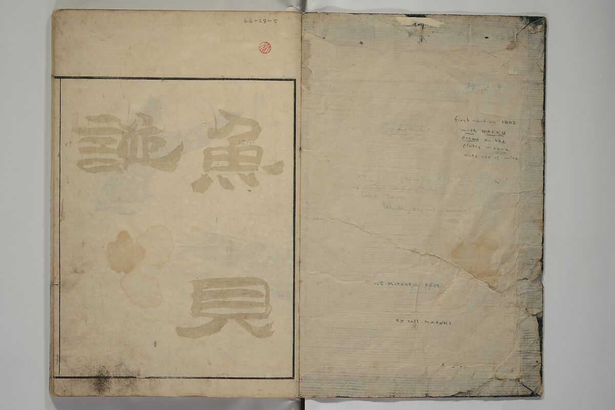 The Servants of the Dragon King of the Sea: Fish and Shells (Tatsu no miyatsuko gyokai fu) 龍の宮津子魚貝譜, Kuwagata Keisai 鍬形蕙斎 (Japanese, 1764–1824), Woodblock printed book; ink, color and mica on paper, Japan