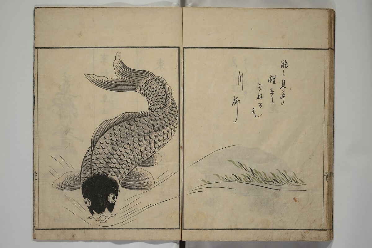 The Servants of the Dragon King of the Sea: Fish and Shells (Tatsu no miyatsuko gyokai fu) 龍の宮津子魚貝譜, Kuwagata Keisai 鍬形蕙斎 (Japanese, 1764–1824), Woodblock printed book; ink, color and mica on paper, Japan