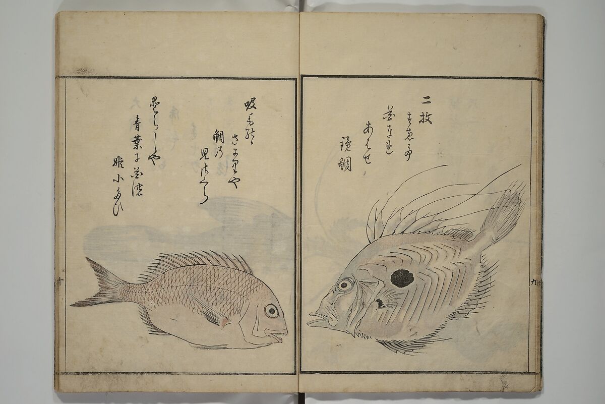 The Servants of the Dragon King of the Sea: Fish and Shells (Tatsu no miyatsuko gyokai fu) 龍の宮津子魚貝譜, Kuwagata Keisai 鍬形蕙斎 (Japanese, 1764–1824), Woodblock printed book; ink, color and mica on paper, Japan