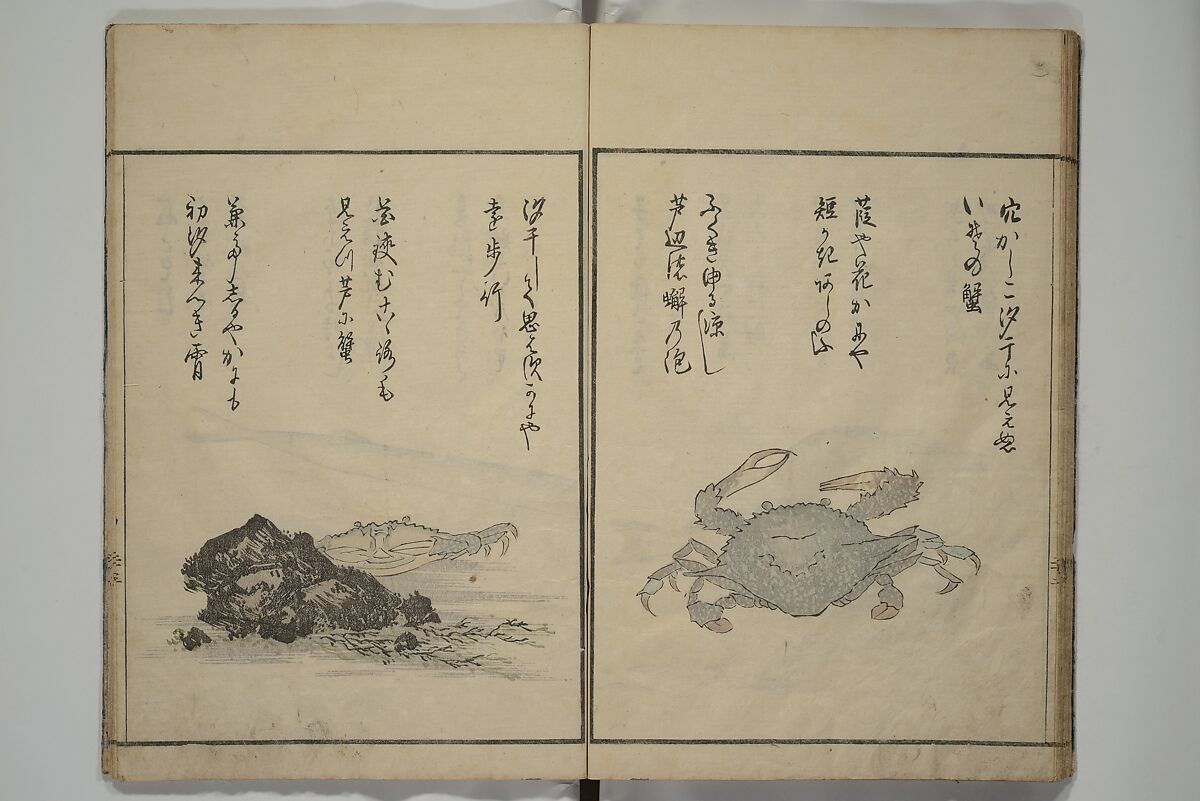 The Servants of the Dragon King of the Sea: Fish and Shells (Tatsu no miyatsuko gyokai fu) 龍の宮津子魚貝譜, Kuwagata Keisai 鍬形蕙斎 (Japanese, 1764–1824), Woodblock printed book; ink, color and mica on paper, Japan