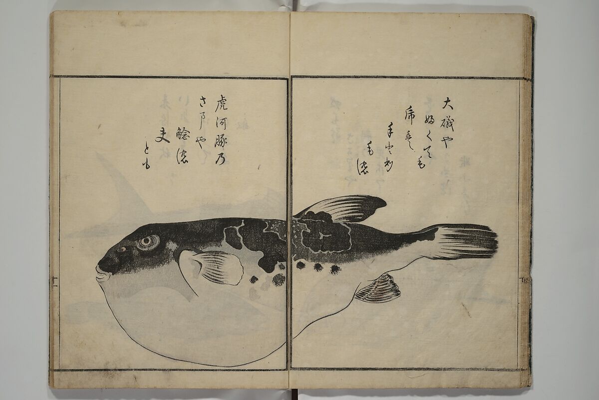 The Servants of the Dragon King of the Sea: Fish and Shells (Tatsu no miyatsuko gyokai fu) 龍の宮津子魚貝譜, Kuwagata Keisai 鍬形蕙斎 (Japanese, 1764–1824), Woodblock printed book; ink, color and mica on paper, Japan