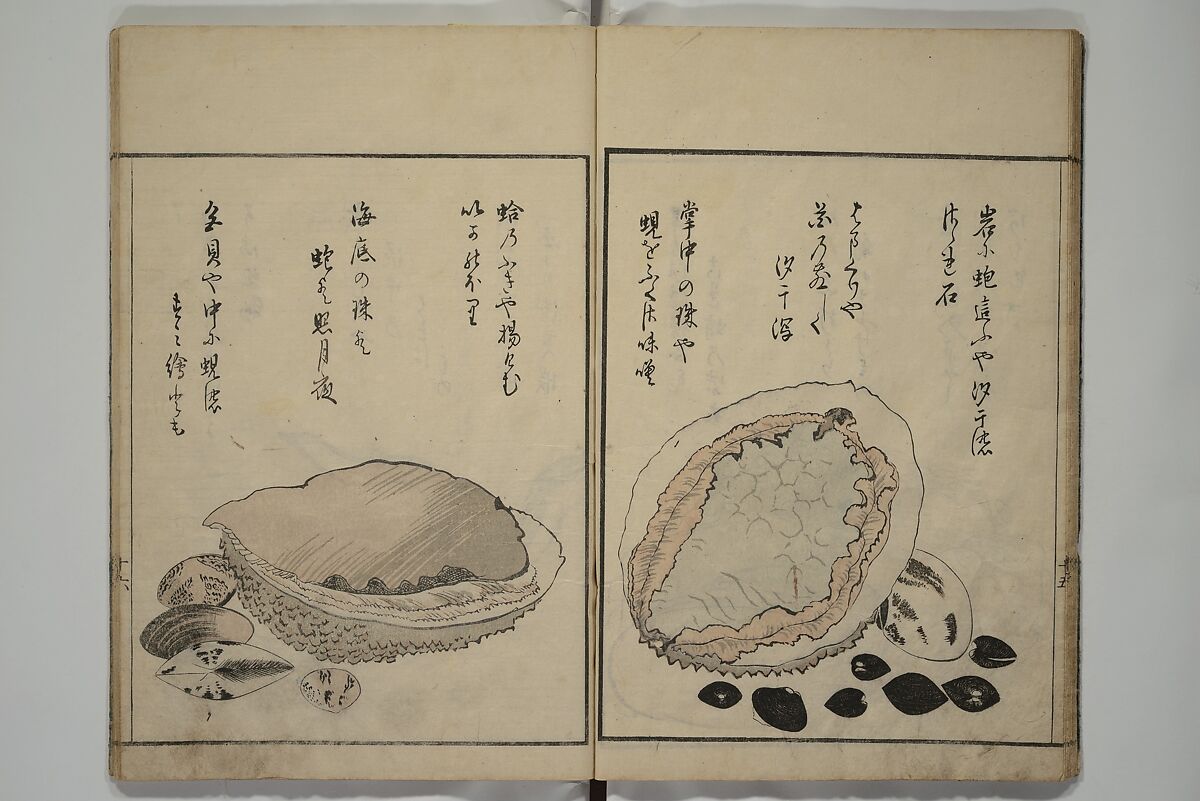 The Servants of the Dragon King of the Sea: Fish and Shells (Tatsu no miyatsuko gyokai fu) 龍の宮津子魚貝譜, Kuwagata Keisai 鍬形蕙斎 (Japanese, 1764–1824), Woodblock printed book; ink, color and mica on paper, Japan