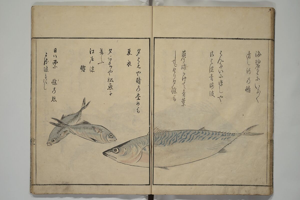 The Servants of the Dragon King of the Sea: Fish and Shells (Tatsu no miyatsuko gyokai fu) 龍の宮津子魚貝譜, Kuwagata Keisai 鍬形蕙斎 (Japanese, 1764–1824), Woodblock printed book; ink, color and mica on paper, Japan