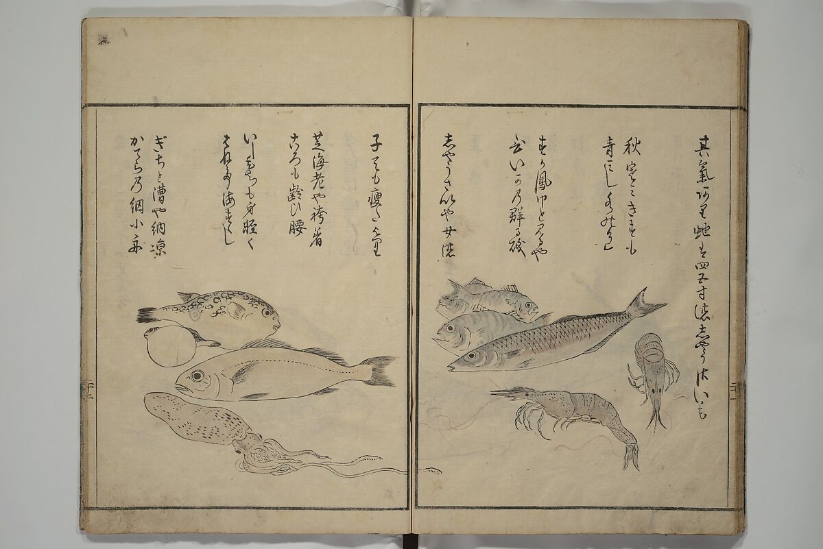 The Servants of the Dragon King of the Sea: Fish and Shells (Tatsu no miyatsuko gyokai fu) 龍の宮津子魚貝譜, Kuwagata Keisai 鍬形蕙斎 (Japanese, 1764–1824), Woodblock printed book; ink, color and mica on paper, Japan