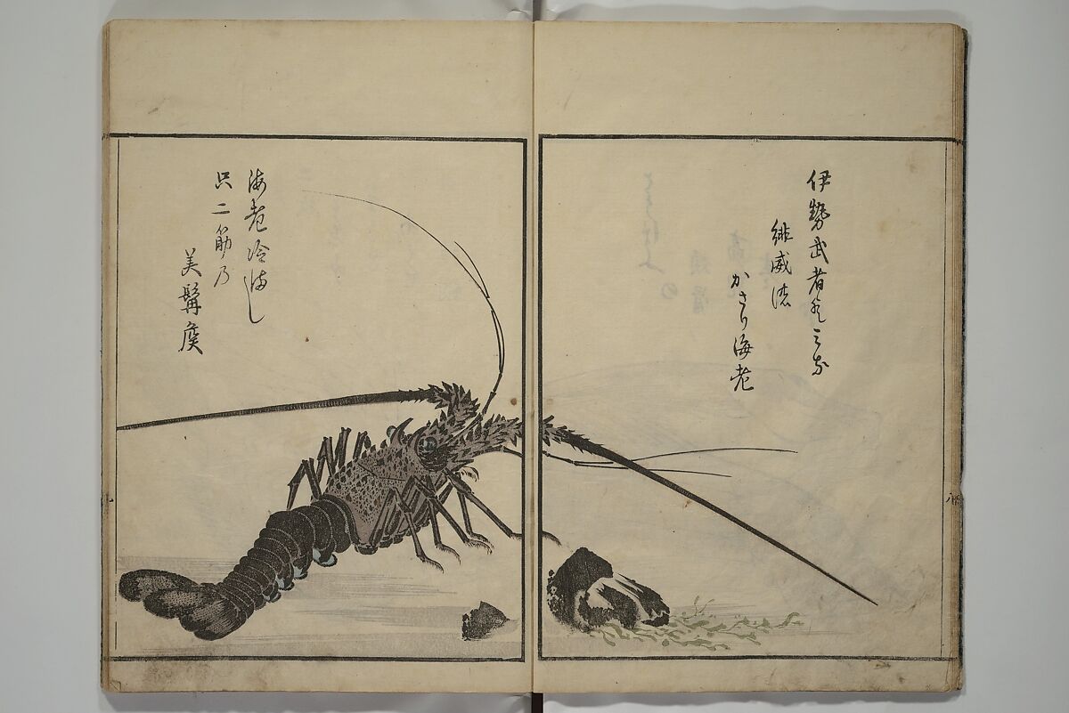 The Servants of the Dragon King of the Sea: Fish and Shells (Tatsu no miyatsuko gyokai fu) 龍の宮津子魚貝譜, Kuwagata Keisai 鍬形蕙斎 (Japanese, 1764–1824), Woodblock printed book; ink, color and mica on paper, Japan