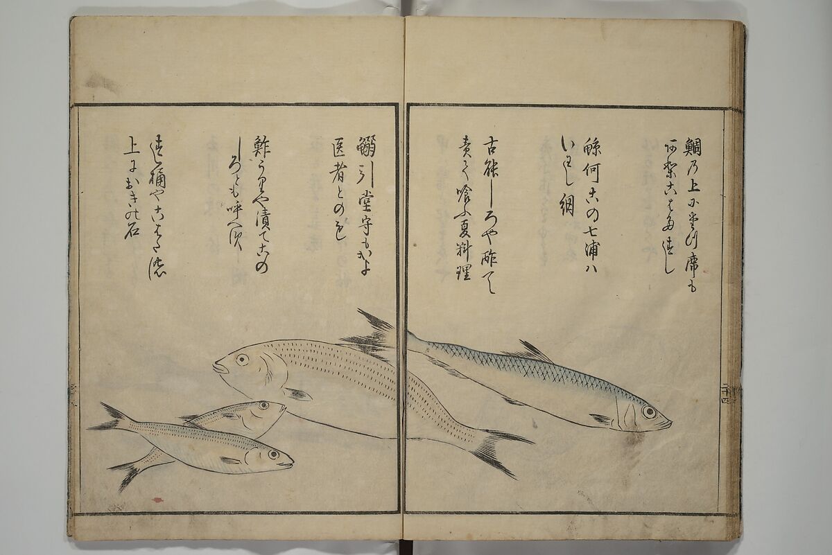 The Servants of the Dragon King of the Sea: Fish and Shells (Tatsu no miyatsuko gyokai fu) 龍の宮津子魚貝譜, Kuwagata Keisai 鍬形蕙斎 (Japanese, 1764–1824), Woodblock printed book; ink, color and mica on paper, Japan