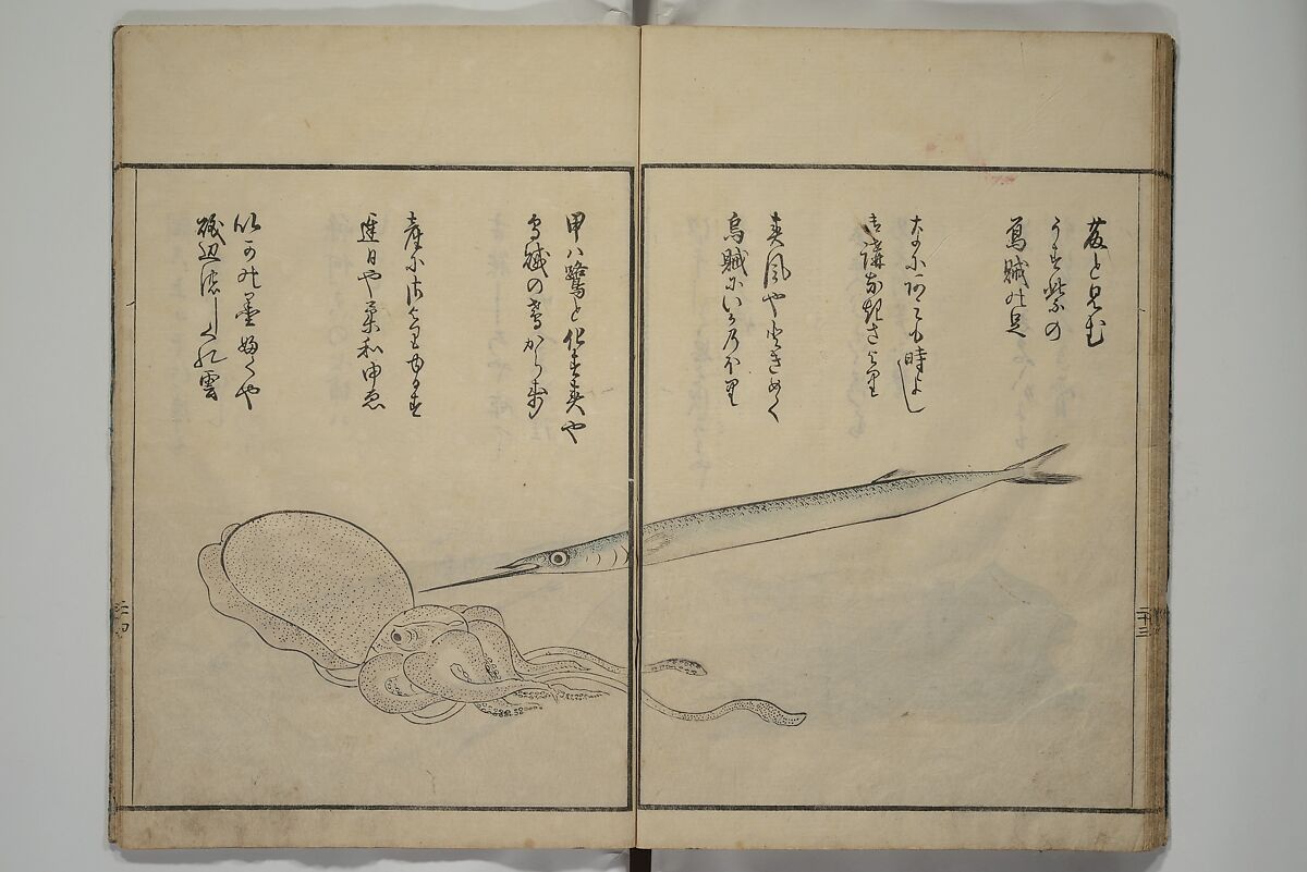 The Servants of the Dragon King of the Sea: Fish and Shells (Tatsu no miyatsuko gyokai fu) 龍の宮津子魚貝譜, Kuwagata Keisai 鍬形蕙斎 (Japanese, 1764–1824), Woodblock printed book; ink, color and mica on paper, Japan