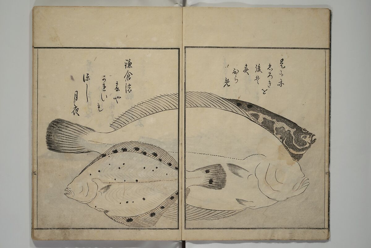 The Servants of the Dragon King of the Sea: Fish and Shells (Tatsu no miyatsuko gyokai fu) 龍の宮津子魚貝譜, Kuwagata Keisai 鍬形蕙斎 (Japanese, 1764–1824), Woodblock printed book; ink, color and mica on paper, Japan