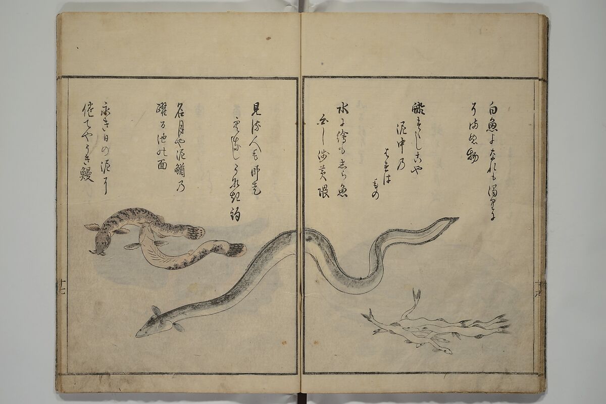 The Servants of the Dragon King of the Sea: Fish and Shells (Tatsu no miyatsuko gyokai fu) 龍の宮津子魚貝譜, Kuwagata Keisai 鍬形蕙斎 (Japanese, 1764–1824), Woodblock printed book; ink, color and mica on paper, Japan