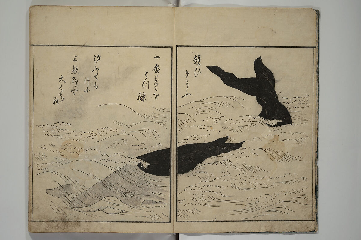 The Servants of the Dragon King of the Sea: Fish and Shells (Tatsu no miyatsuko gyokai fu) 龍の宮津子魚貝譜, Kuwagata Keisai 鍬形蕙斎 (Japanese, 1764–1824), Woodblock printed book; ink, color and mica on paper, Japan 