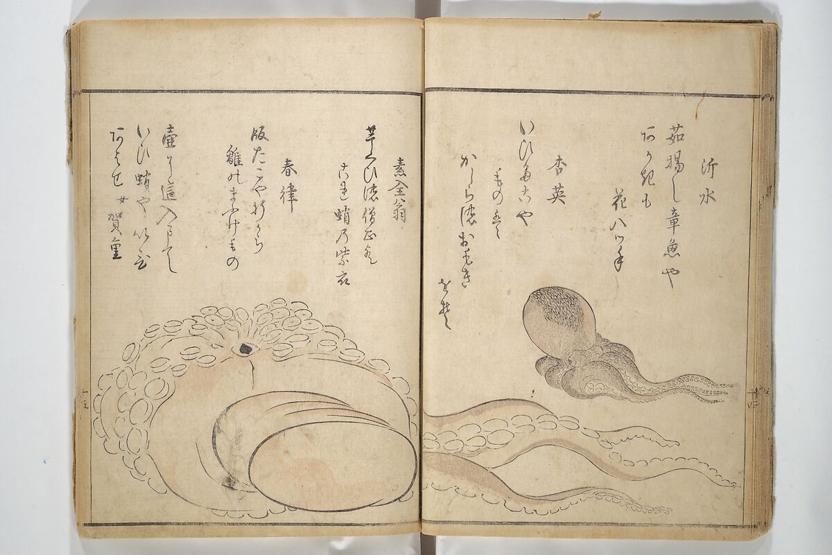 The Servants of the Dragon King of the Sea: Fish and Shells (Tatsu no miyatsuko gyokai fu) 龍の宮津子魚貝譜, Kuwagata Keisai 鍬形蕙斎 (Japanese, 1764–1824), Woodblock printed book; ink and color on paper, Japan