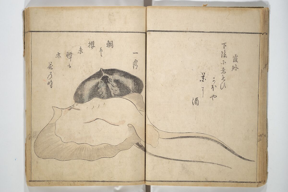 The Servants of the Dragon King of the Sea: Fish and Shells (Tatsu no miyatsuko gyokai fu) 龍の宮津子魚貝譜, Kuwagata Keisai 鍬形蕙斎 (Japanese, 1764–1824), Woodblock printed book; ink and color on paper, Japan