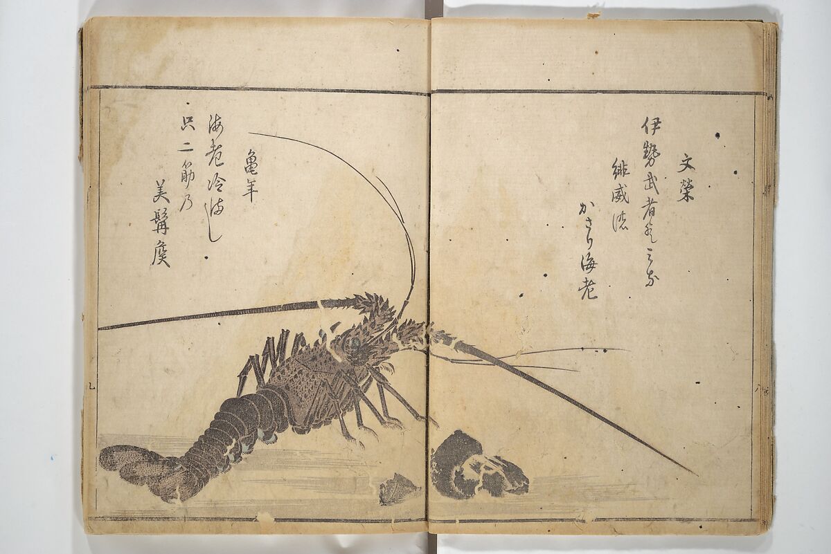 The Servants of the Dragon King of the Sea: Fish and Shells (Tatsu no miyatsuko gyokai fu) 龍の宮津子魚貝譜, Kuwagata Keisai 鍬形蕙斎 (Japanese, 1764–1824), Woodblock printed book; ink and color on paper, Japan