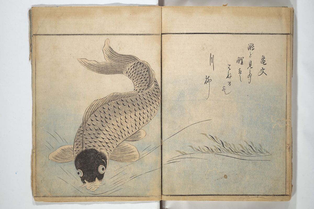The Servants of the Dragon King of the Sea: Fish and Shells (Tatsu no miyatsuko gyokai fu) 龍の宮津子魚貝譜, Kuwagata Keisai 鍬形蕙斎 (Japanese, 1764–1824), Woodblock printed book; ink and color on paper, Japan