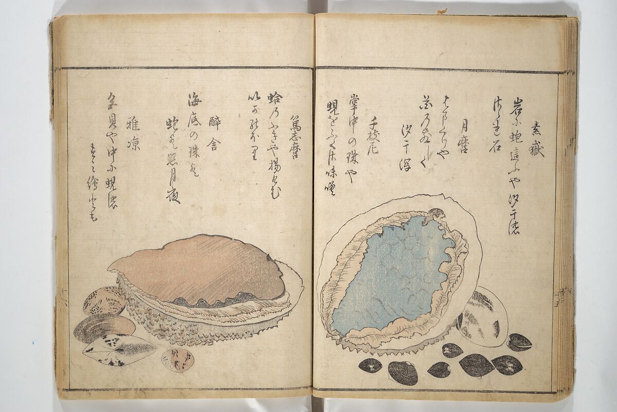 The Servants of the Dragon King of the Sea: Fish and Shells (Tatsu no miyatsuko gyokai fu) 龍の宮津子魚貝譜, Kuwagata Keisai 鍬形蕙斎 (Japanese, 1764–1824), Woodblock printed book; ink and color on paper, Japan