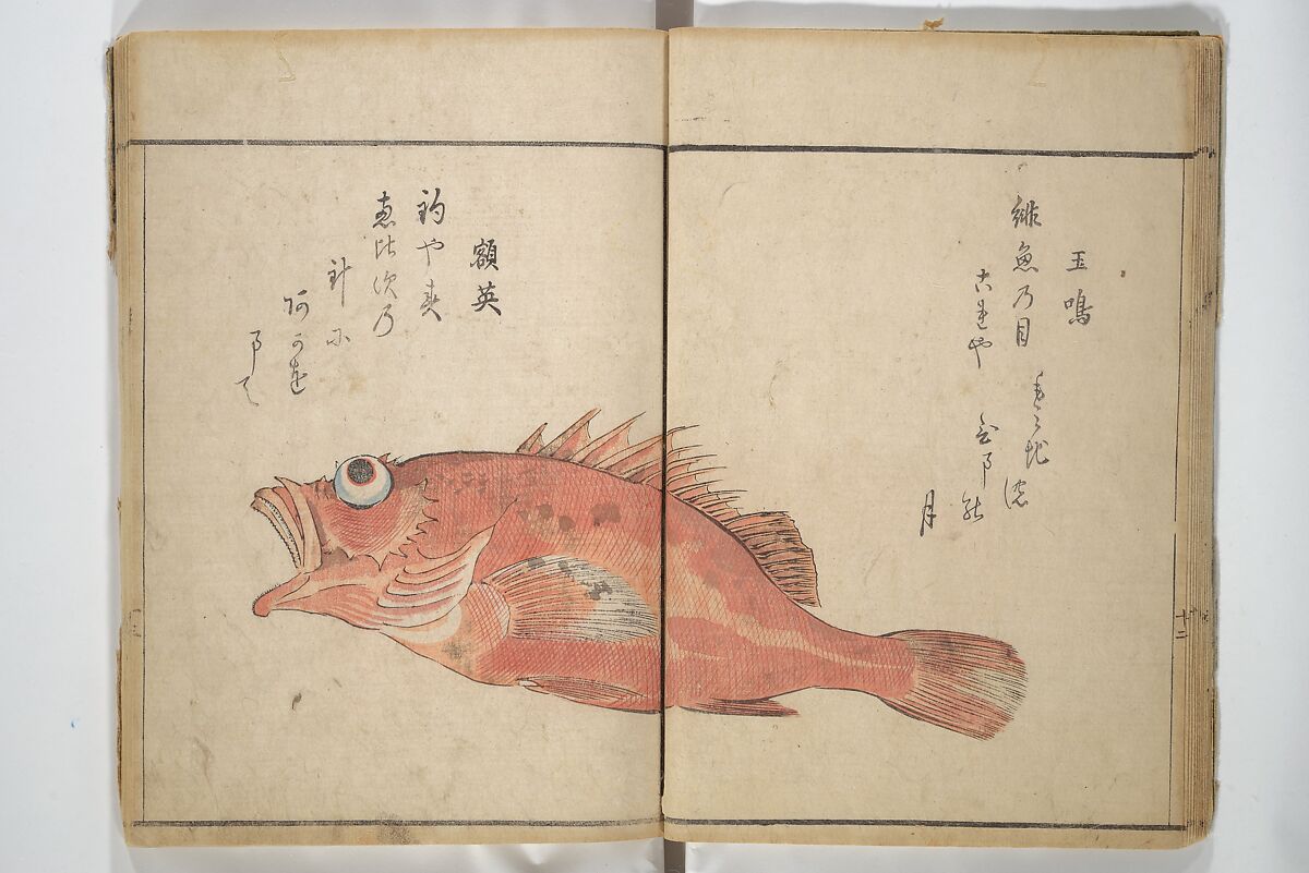 The Servants of the Dragon King of the Sea: Fish and Shells (Tatsu no miyatsuko gyokai fu) 龍の宮津子魚貝譜, Kuwagata Keisai 鍬形蕙斎 (Japanese, 1764–1824), Woodblock printed book; ink and color on paper, Japan