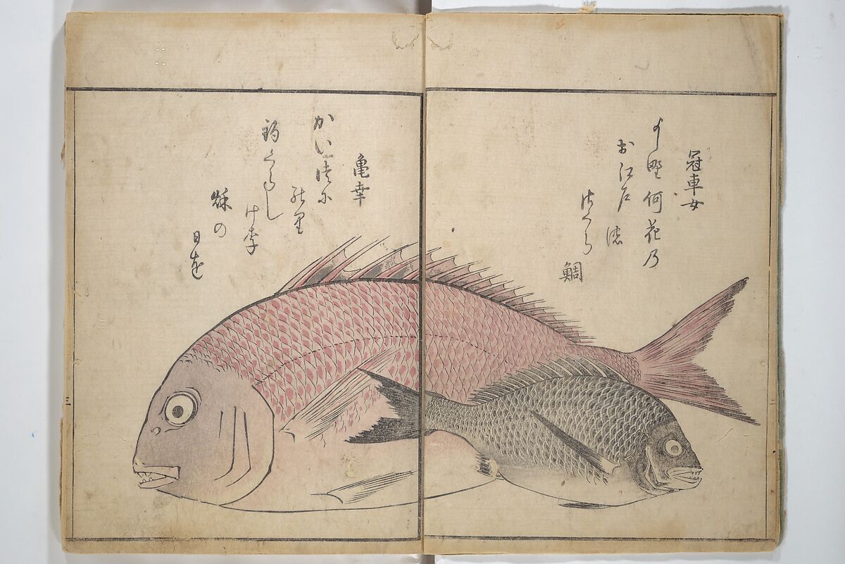 The Servants of the Dragon King of the Sea: Fish and Shells (Tatsu no miyatsuko gyokai fu) 龍の宮津子魚貝譜, Kuwagata Keisai 鍬形蕙斎 (Japanese, 1764–1824), Woodblock printed book; ink and color on paper, Japan