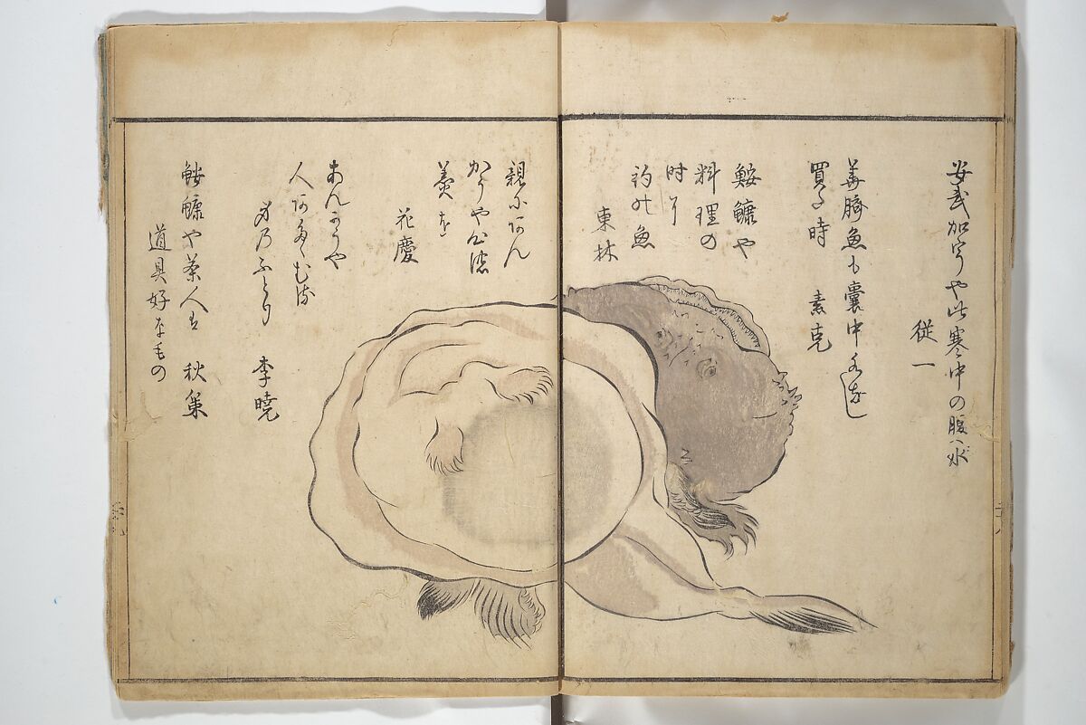 The Servants of the Dragon King of the Sea: Fish and Shells (Tatsu no miyatsuko gyokai fu) 龍の宮津子魚貝譜, Kuwagata Keisai 鍬形蕙斎 (Japanese, 1764–1824), Woodblock printed book; ink and color on paper, Japan