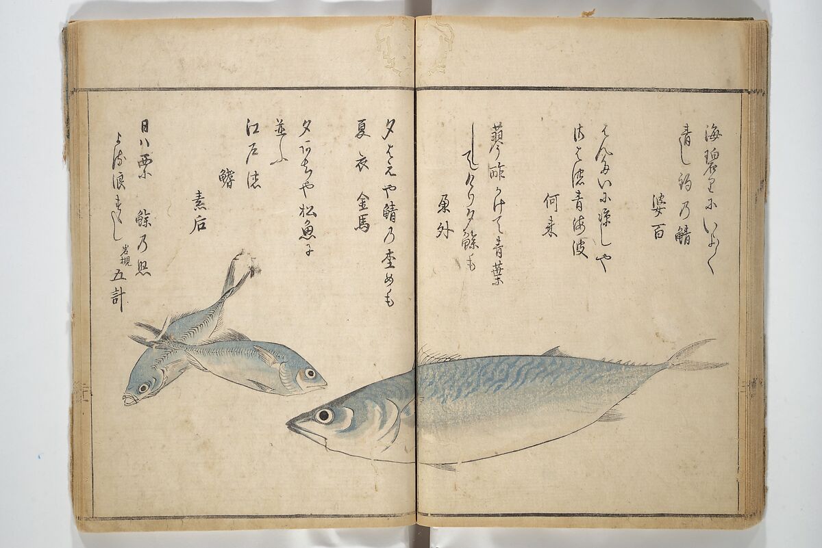 The Servants of the Dragon King of the Sea: Fish and Shells (Tatsu no miyatsuko gyokai fu) 龍の宮津子魚貝譜, Kuwagata Keisai 鍬形蕙斎 (Japanese, 1764–1824), Woodblock printed book; ink and color on paper, Japan