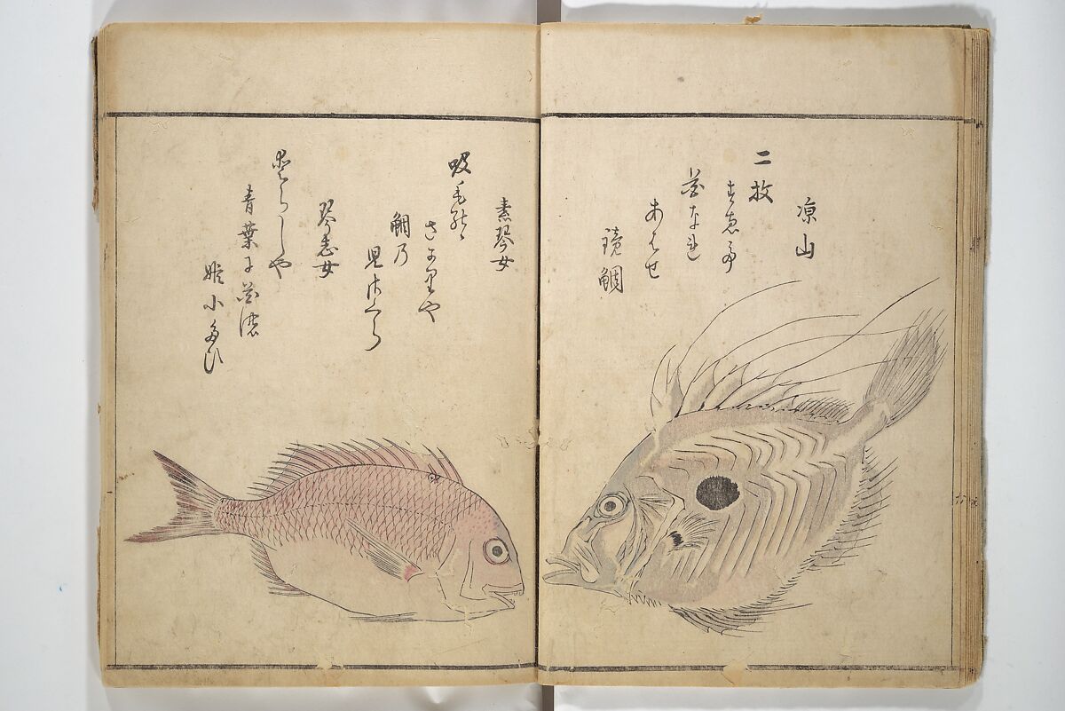 The Servants of the Dragon King of the Sea: Fish and Shells (Tatsu no miyatsuko gyokai fu) 龍の宮津子魚貝譜, Kuwagata Keisai 鍬形蕙斎 (Japanese, 1764–1824), Woodblock printed book; ink and color on paper, Japan